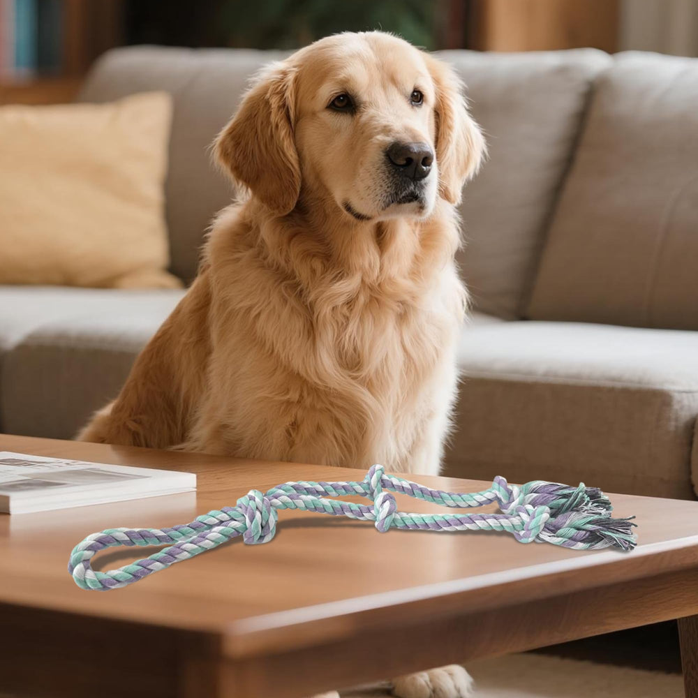 AmaCielo corde jouet cadeau parfait pour chien actif et joueur.