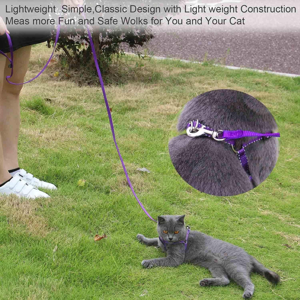 AMAGOOD idéale pour chiots et chiens de toutes tailles.