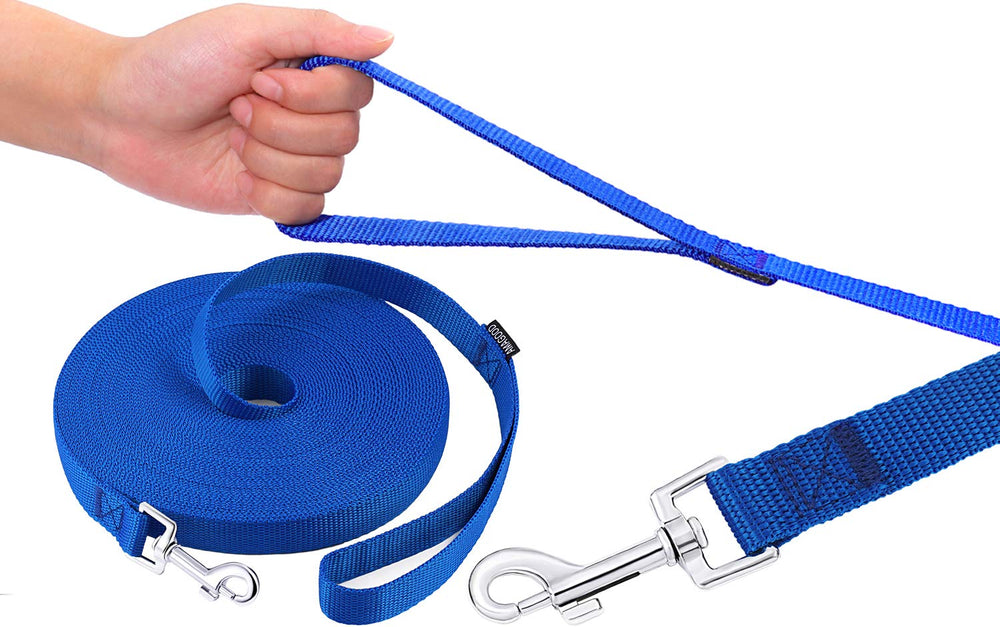 AMAGOOD laisse longue chien 20 pieds bleu, parfaite pour garder votre chien sous contrôle.