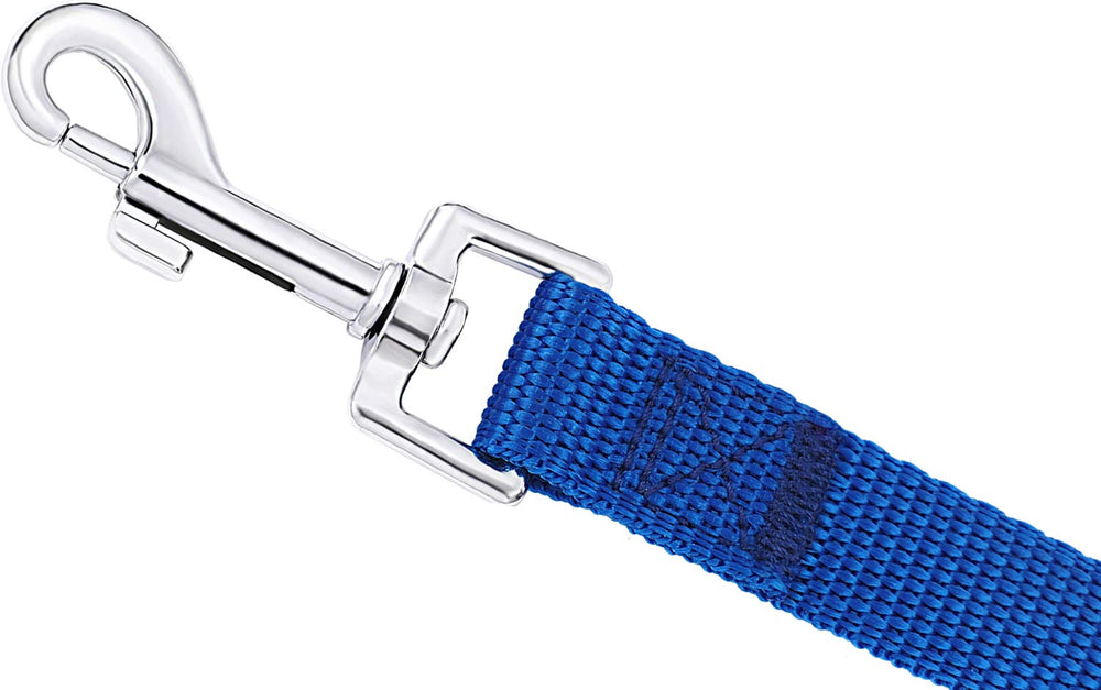 AMAGOOD longe-chien-camping-loisirs-30-pieds pratique lors des sorties en plein air.