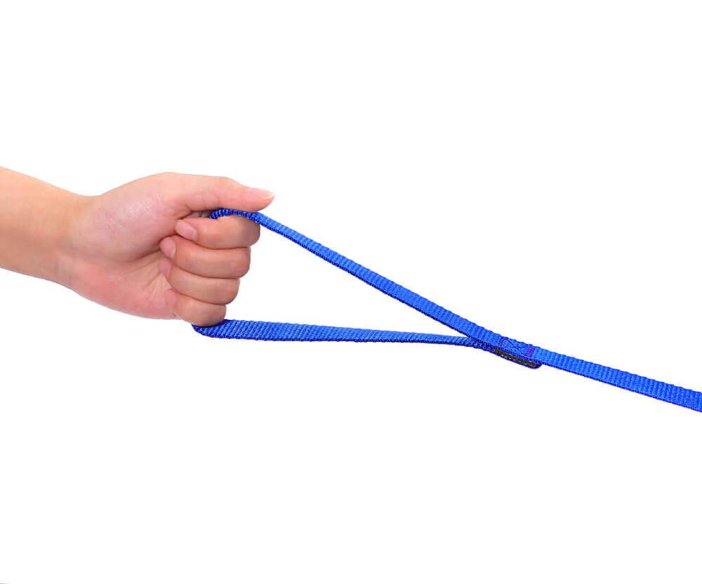 AMAGOOD longe-chien-memoire-entrainement-30-pieds favorise l'apprentissage des distances.