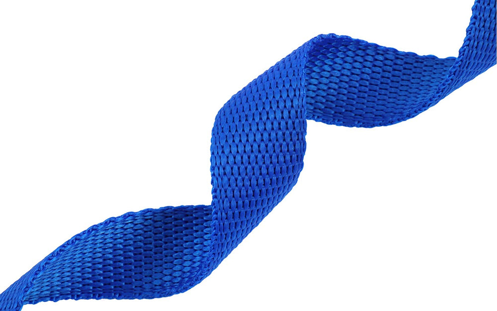AMAGOOD longe-chien-securite-plein-air-30-pieds securise promenades et activites.