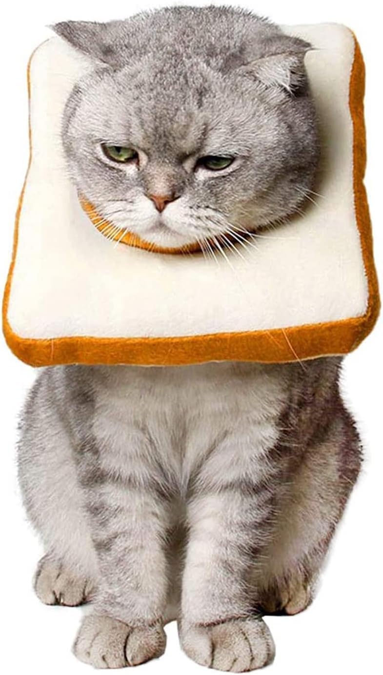 Amakunft collier récupération chat doux ajustable en action, limite le léchage.