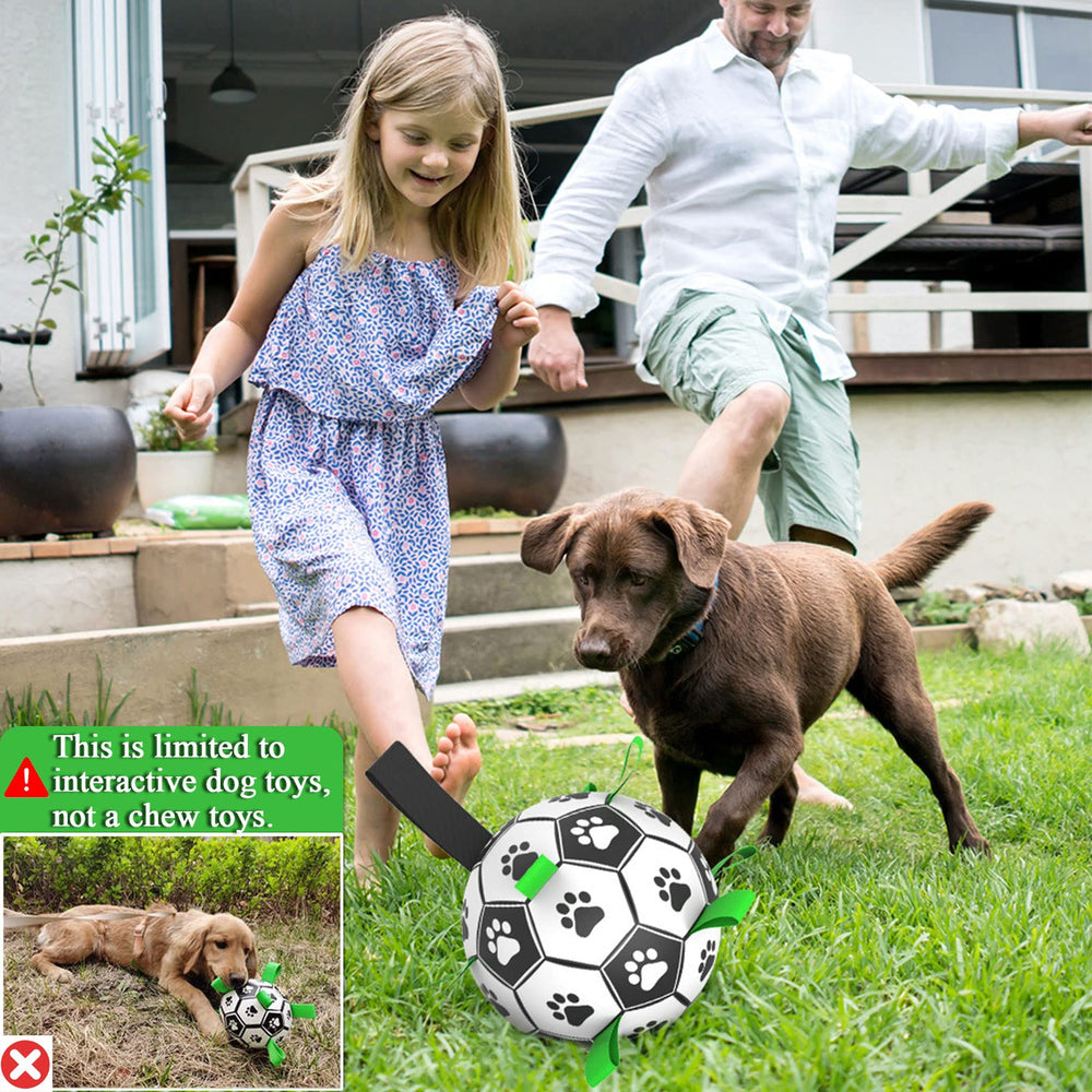 Balle Amasiver, cadeau idéal pour chien stimulant sensoriel.