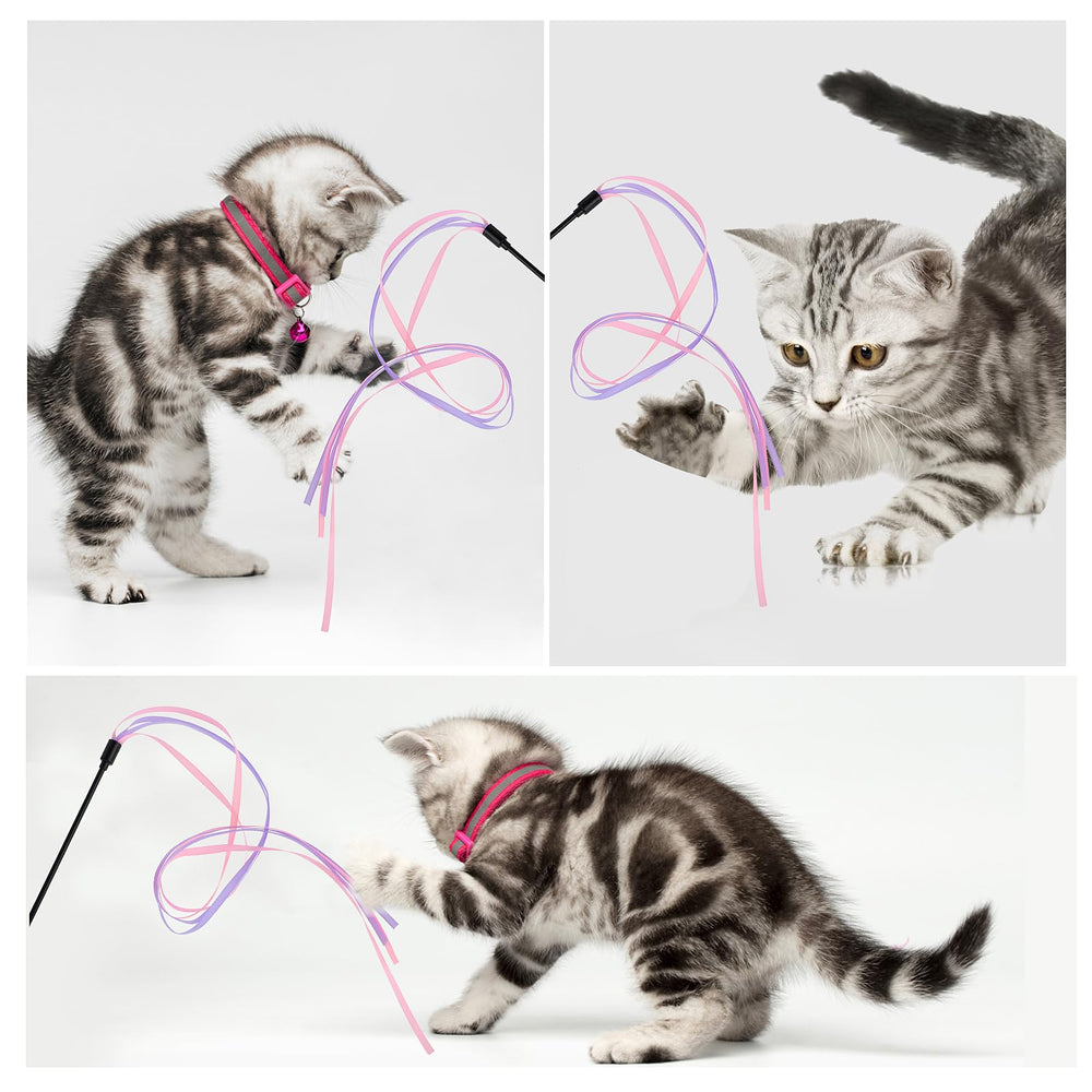 Ruban arc‑en‑ciel Amaxiu pour chat, rose et violet, en mouvement.