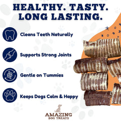 Amazing Dog Treats: anneaux-trachee-boeuf-3-4-pouces, longue détente pour la dentition