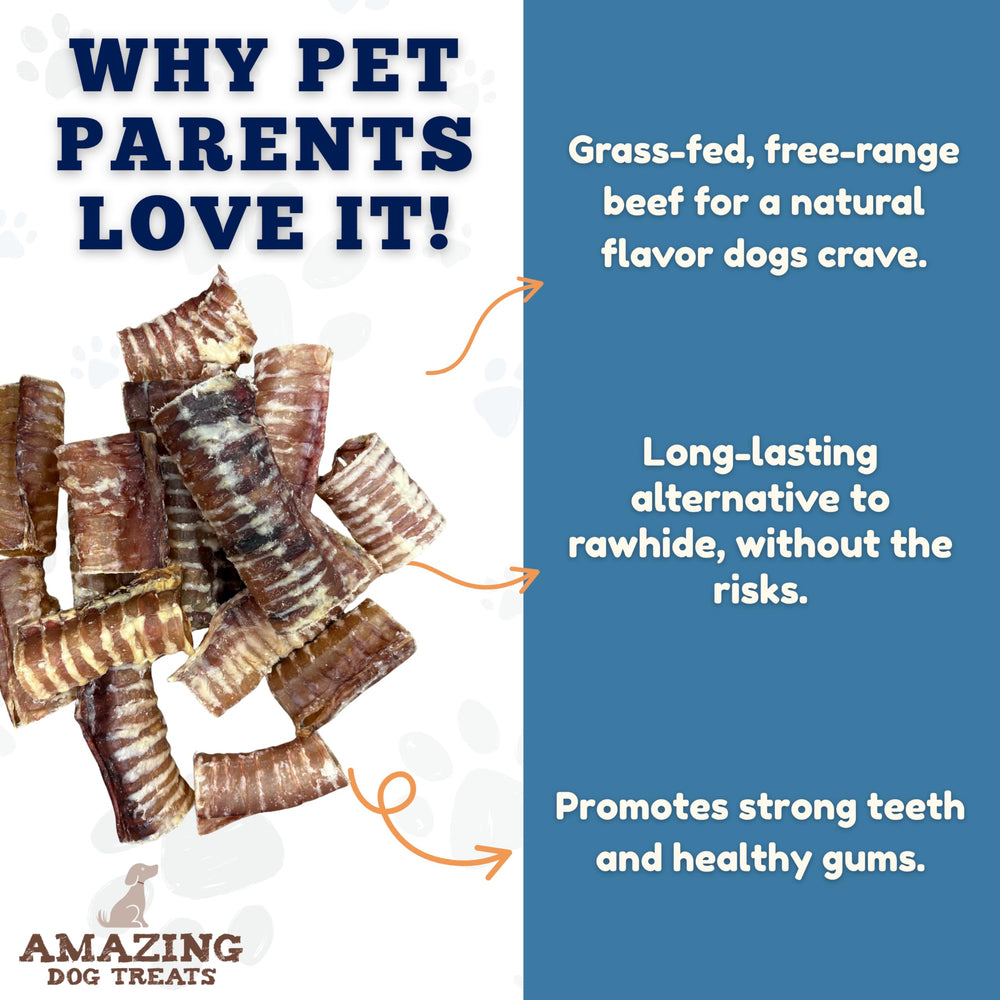 Amazing Dog Treats: anneaux-trachee-boeuf-3-4-pouces, sans additifs