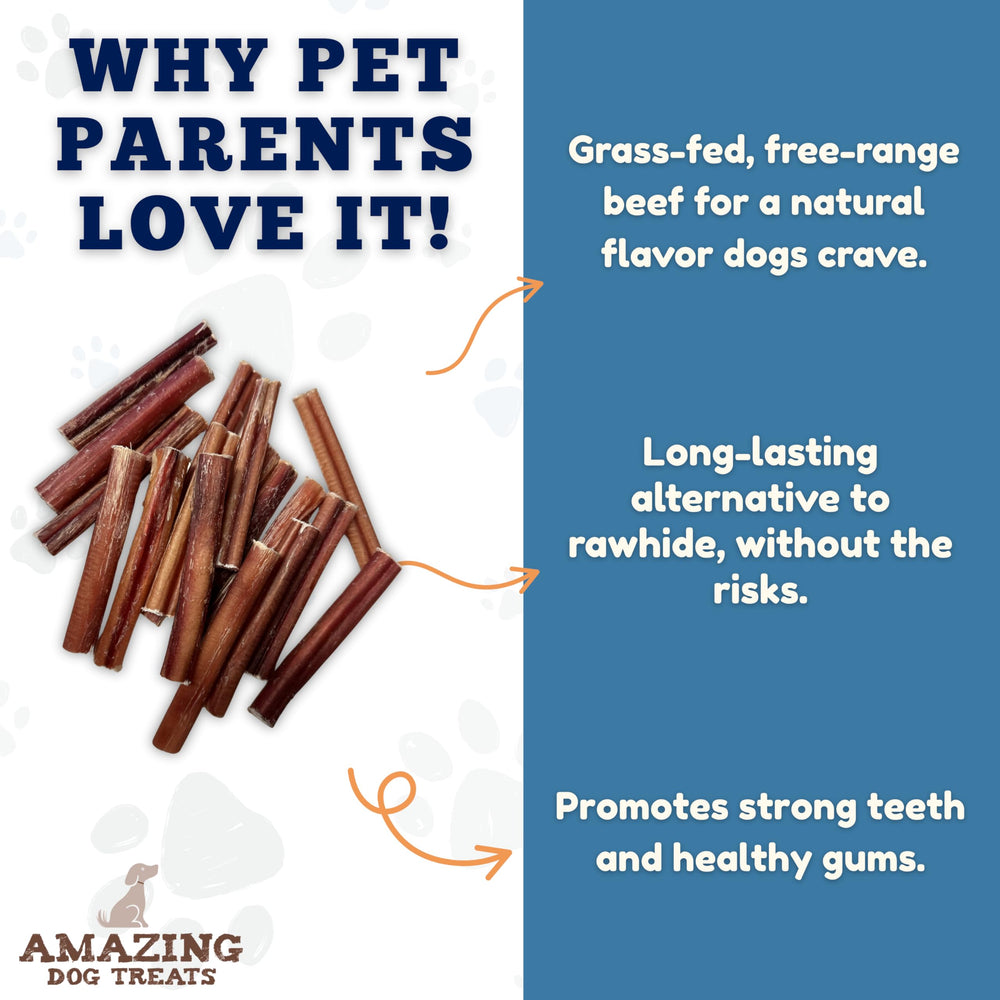 Amazing Dog Treats baton bully 15 cm – sans additifs pour chiens qui aiment la simplicité.