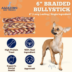 Amazing Dog Treats bâton bully boeuf argentin élevé au pâturage, goût riche.