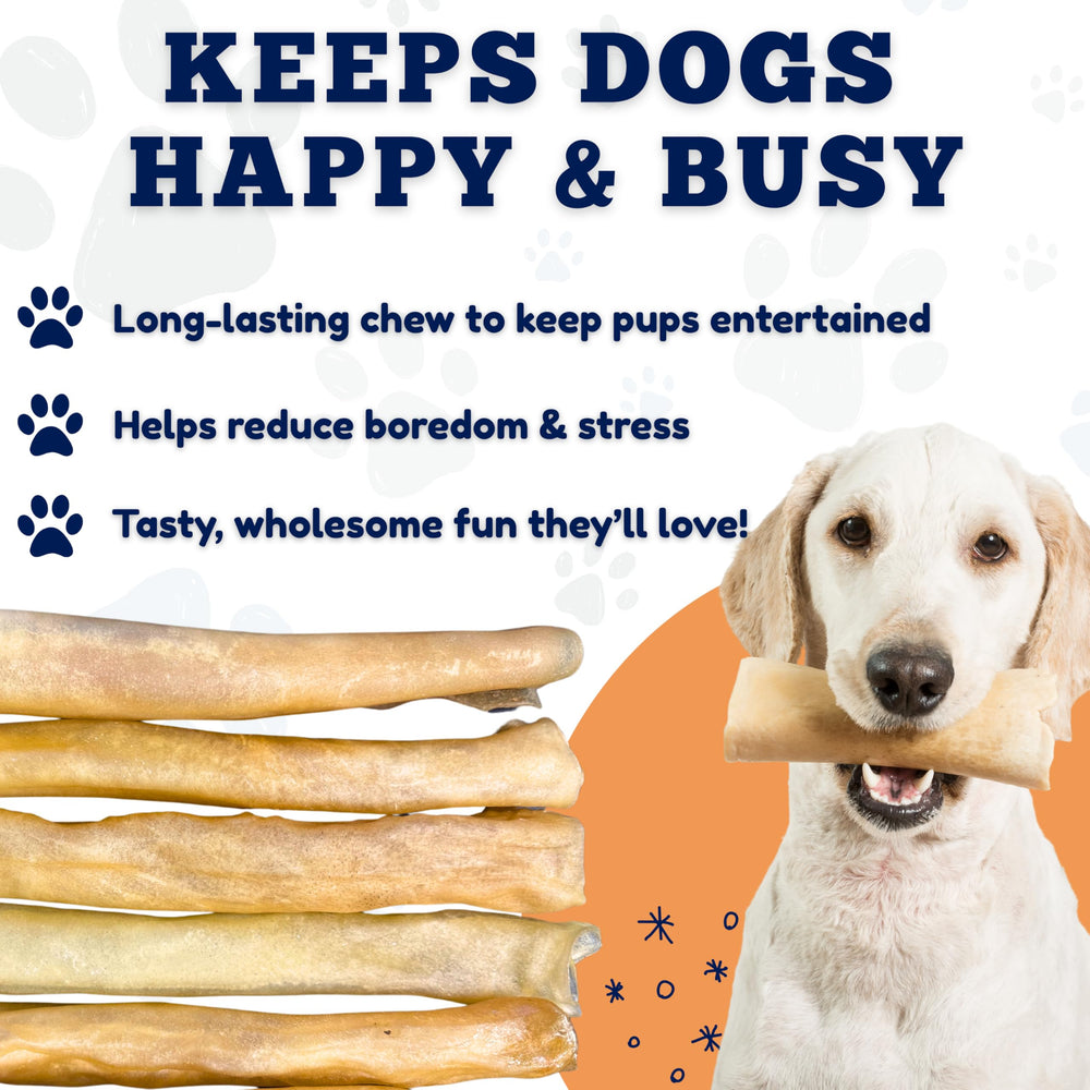 Amazing Dog Treats – soin dentaire naturel pendant la mastication.