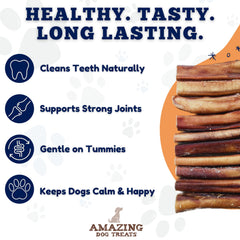 Amazing Dog Treats: bâtonnets boeuf 15 cm en main pour démonstration.
