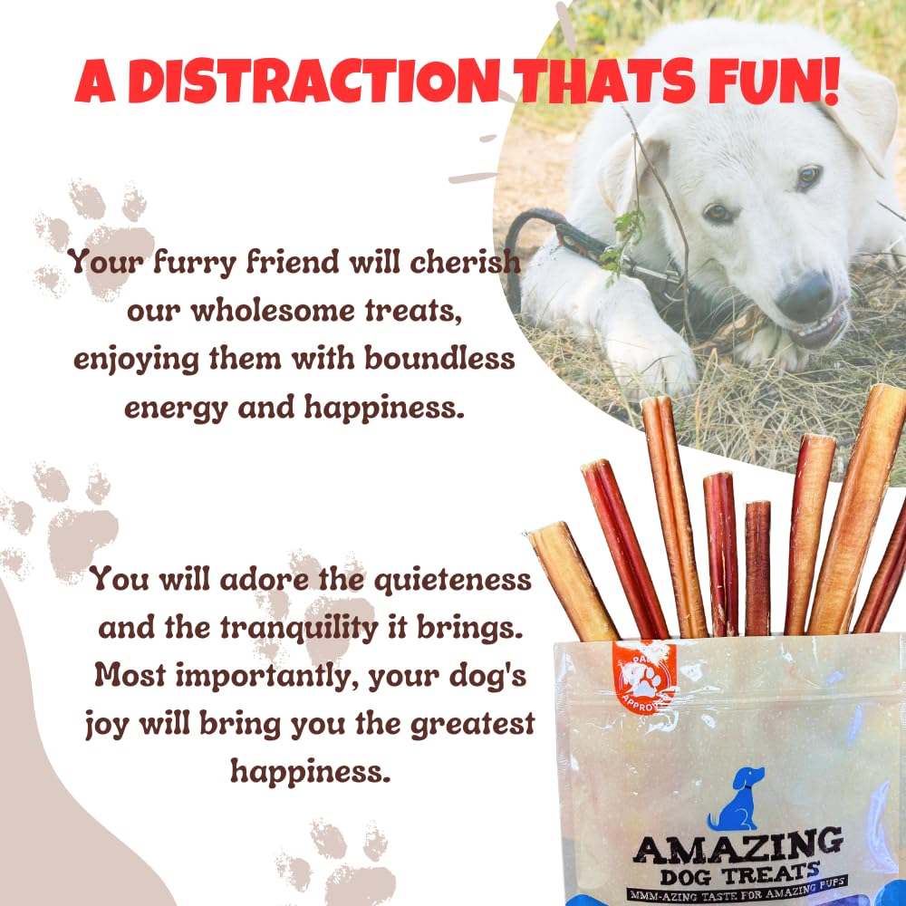 Amazing Dog Treats : pack pratique de 15 pièces à emporter lors des sorties.