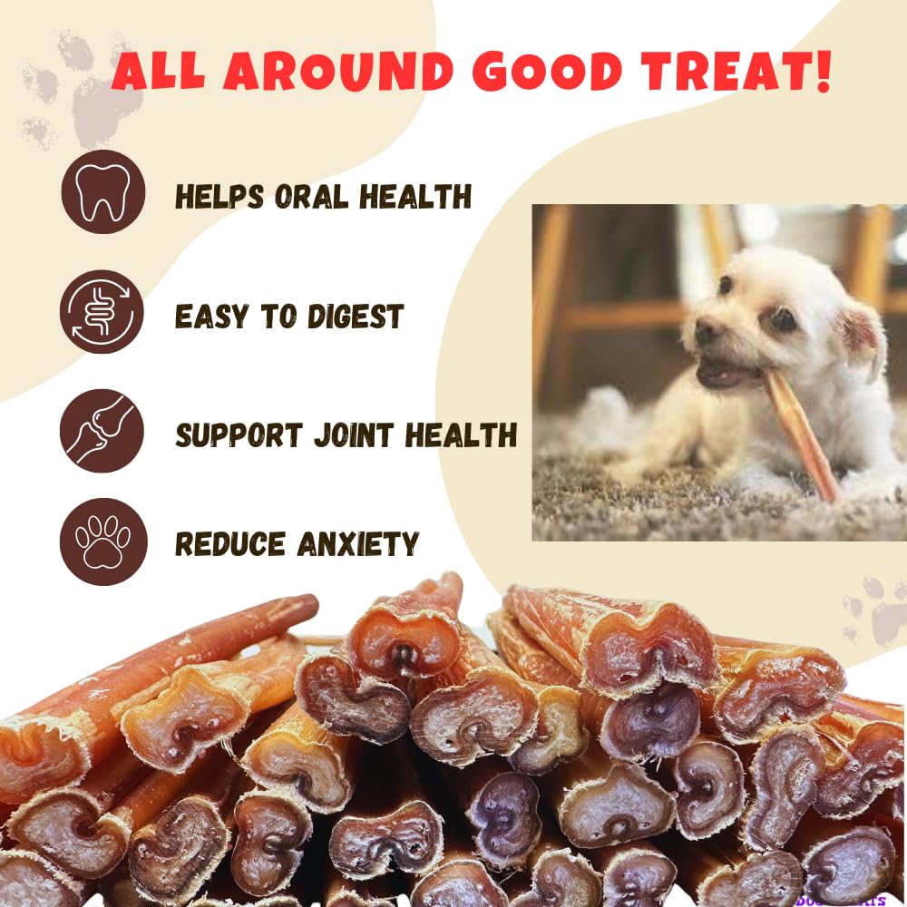 Amazing Dog Treats : chien en train de mâcher, plaisir et soutien dentaire naturels.