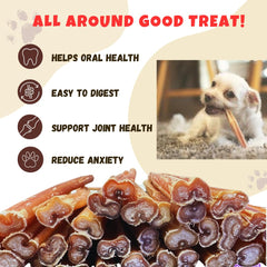 Amazing Dog Treats : chien en train de mâcher, plaisir et soutien dentaire naturels.