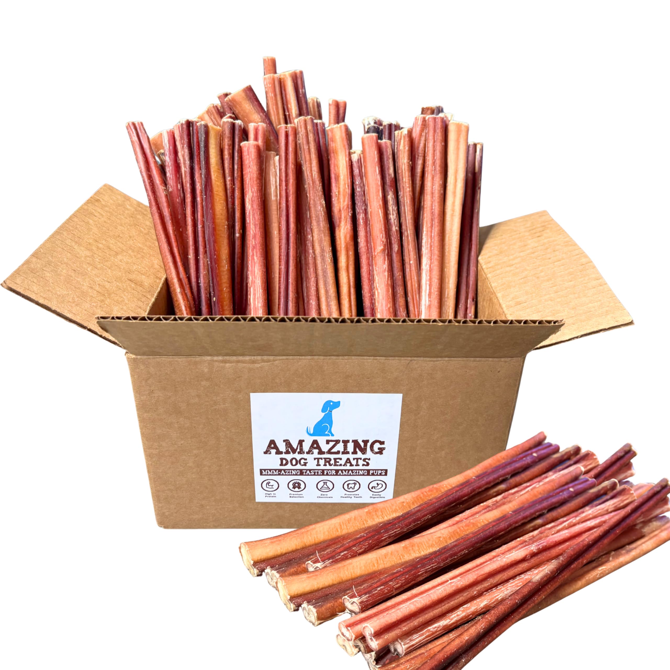 Amazing Dog Treats - bully-stick-petit-chiot-12-pouces stimule la mastication saine.