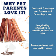 Amazing Dog Treats - bully-stick-petit-ingredients-uniques ingrédients simples et naturels.