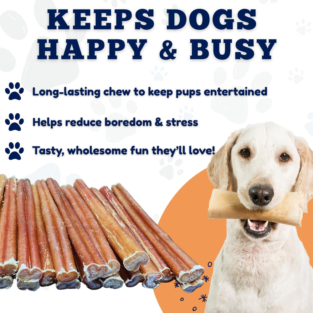 Friandise premium Amazing Dog Treats pour petits chiens, qualité supérieure et dégustation appréciée.