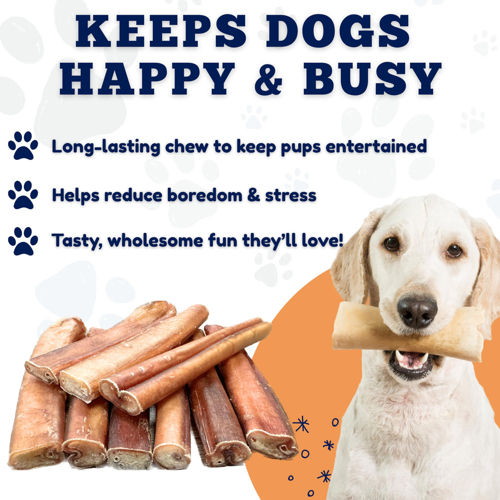 Santé dentaire et mâchage sain avec les Bully Sticks Amazing Dog Treats.