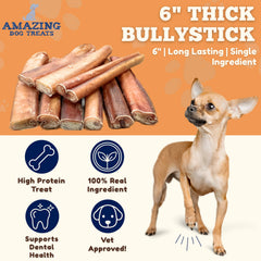 Texture ultra épaisse des Bully Sticks pour mâchage prolongé et satisfaisant.