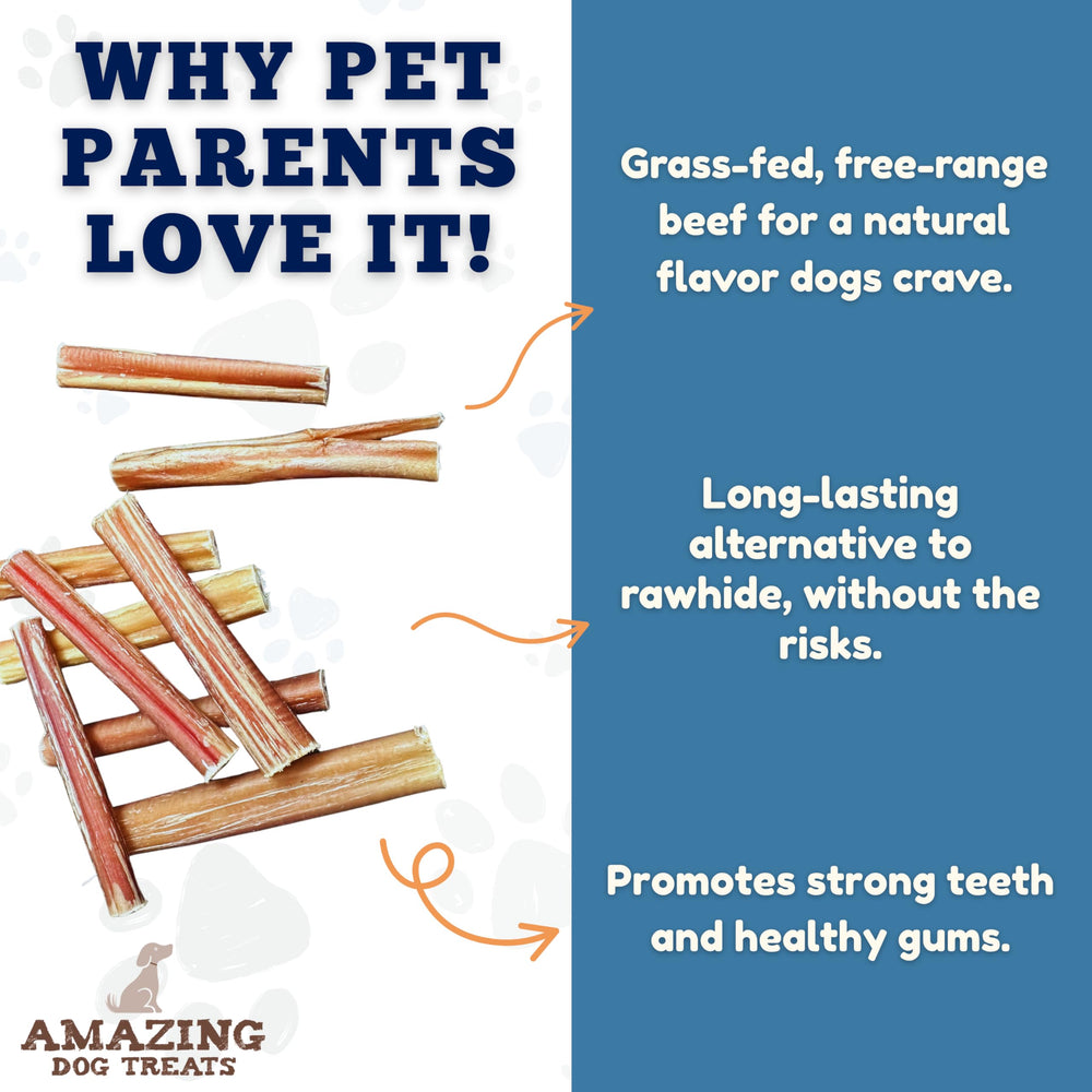 Bâtons bully sticks épais, parfaits pour les grandes races et la récompense durable.