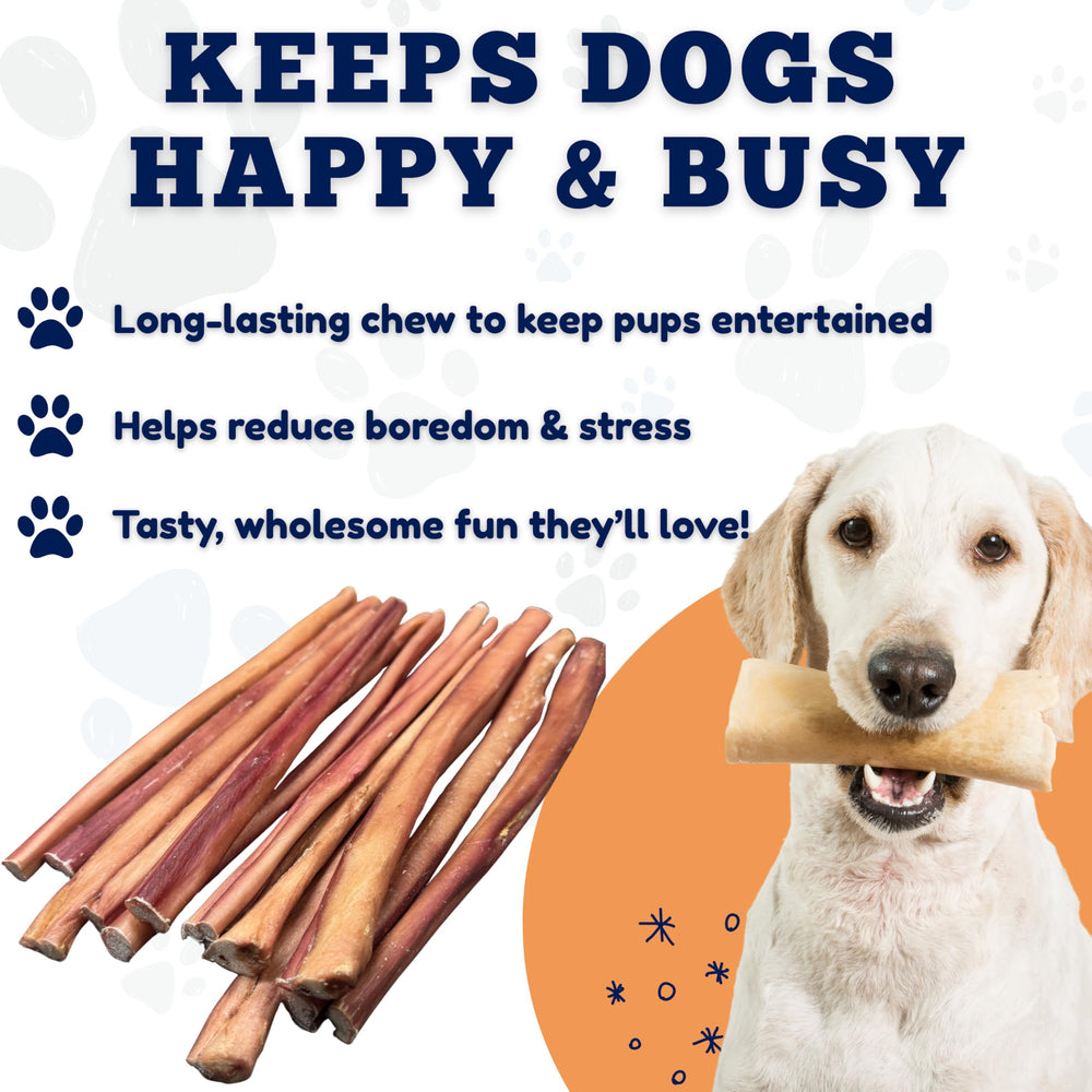Chien en train de mâcher, démonstration d'un usage quotidien avec Amazing Dog Treats.