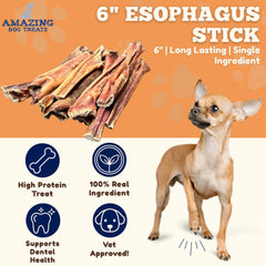 Amazing Dog Treats goulet boeuf pour chien, récompense savoureuse en 20 unités.
