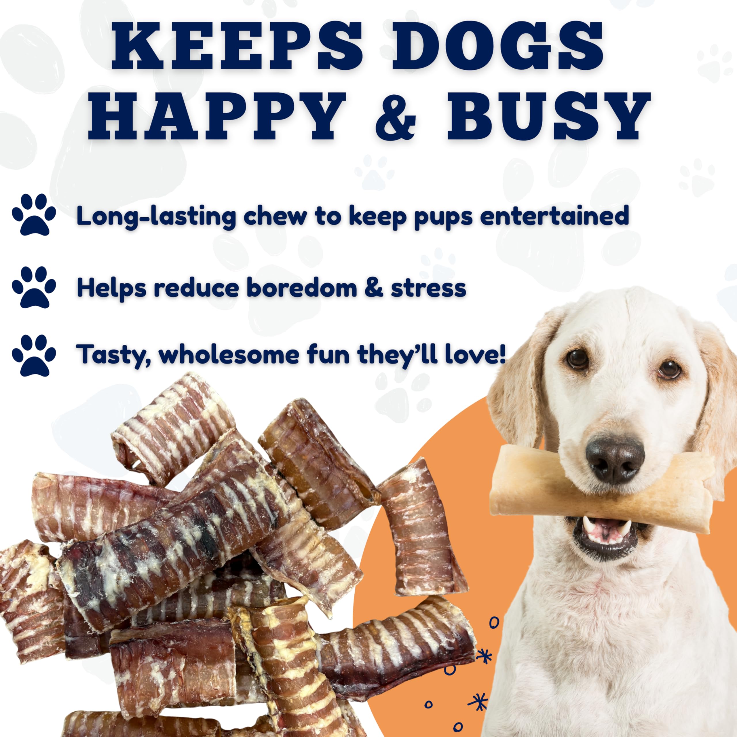 Amazing Dog Treats ingrédient unique-trachee-boeuf, digestion facilitée