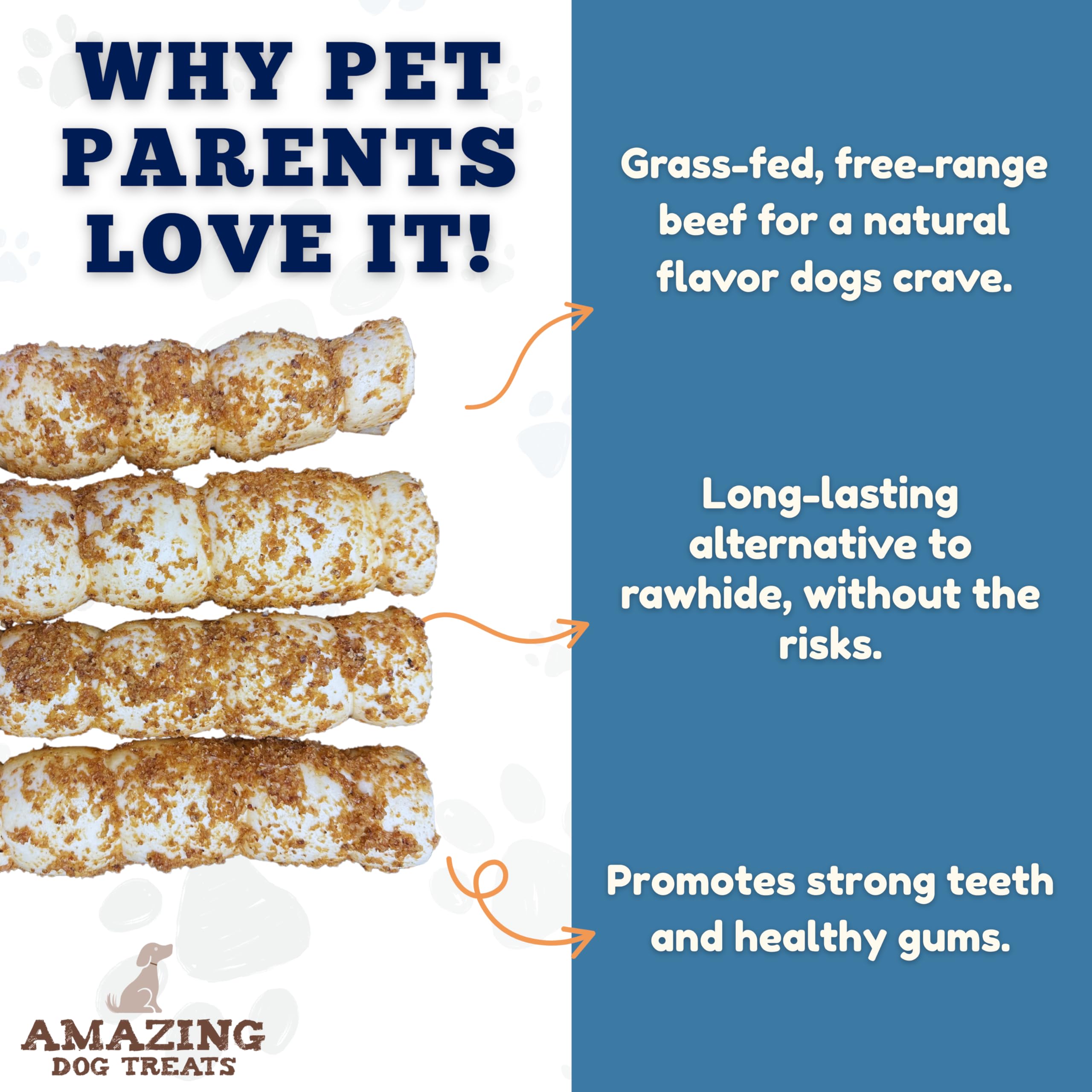 Chien mâchant des rouleaux Amazing Dog Treats pour une mastication durable.