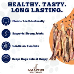Amazing Dog Treats oesophage boeuf pour chien, format 20 unités pour sessions prolongées.