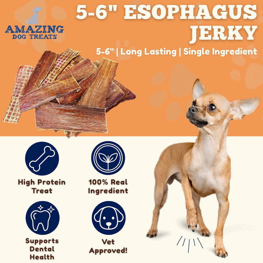 Friandises goulets boeuf Amazing Dog Treats, texture ferme pour longue mastication