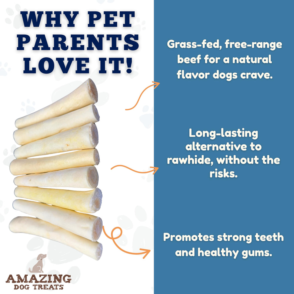 Amazing Dog Treats queue de boeuf 6 pouces, texture naturelle et nettoyage potentiel des dents.