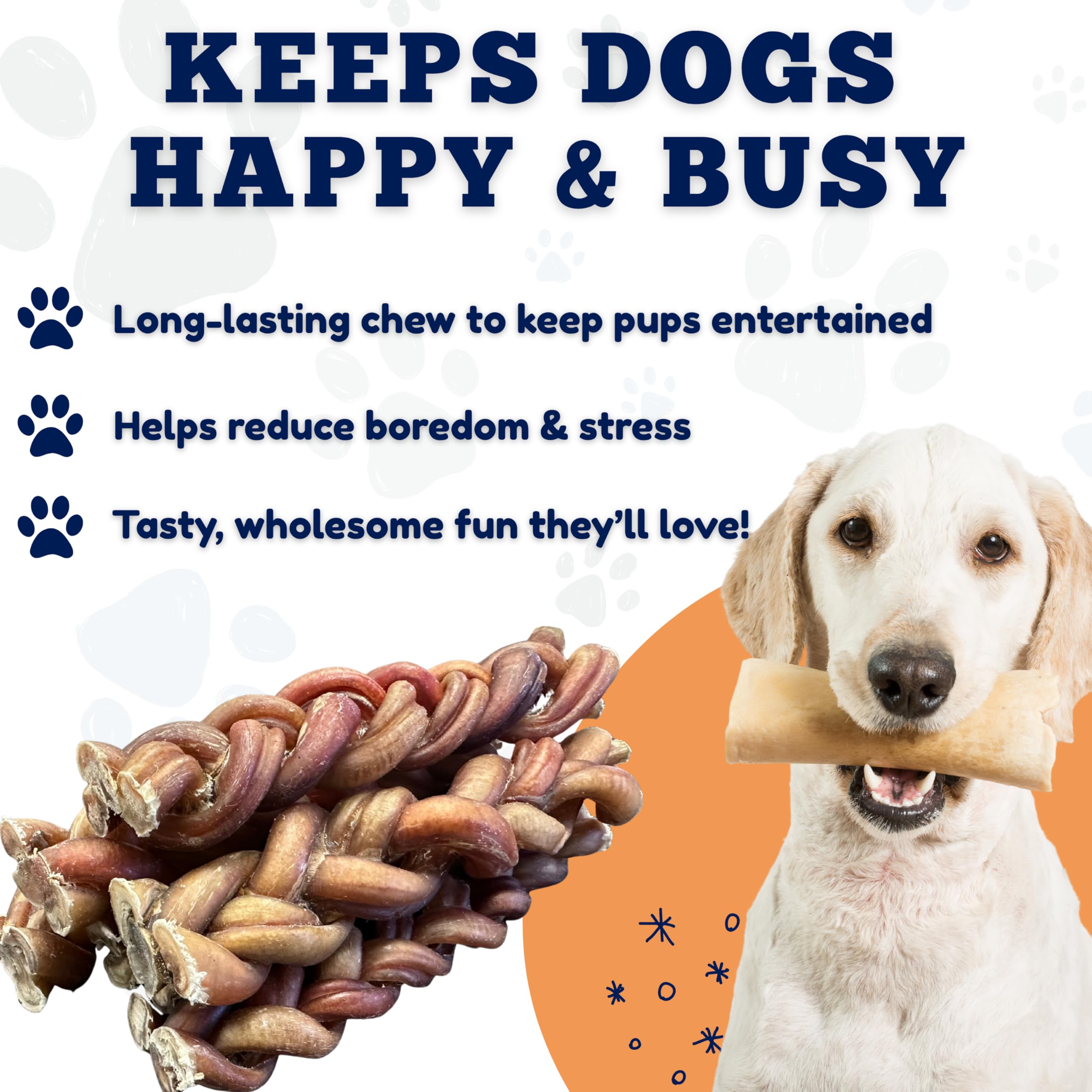 Amazing Dog Treats sante-dentaire gencives, soutien lors de la mastication.