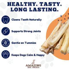Sante-dents Amazing Dog Treats soin buccal naturel pendant les sessions de jeu