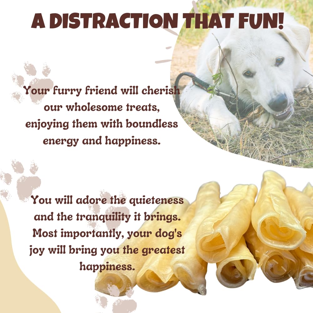 Amazing Dog Treats bâton collagène 6 pouces : bœuf élevé en plein air pour une bouchée naturelle.