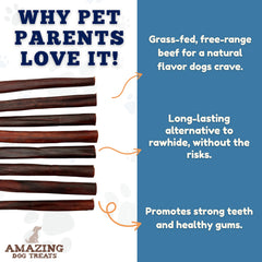 Amazing Dog Treats gros plan sur la texture du bâton collagène, expérience sensorielle.