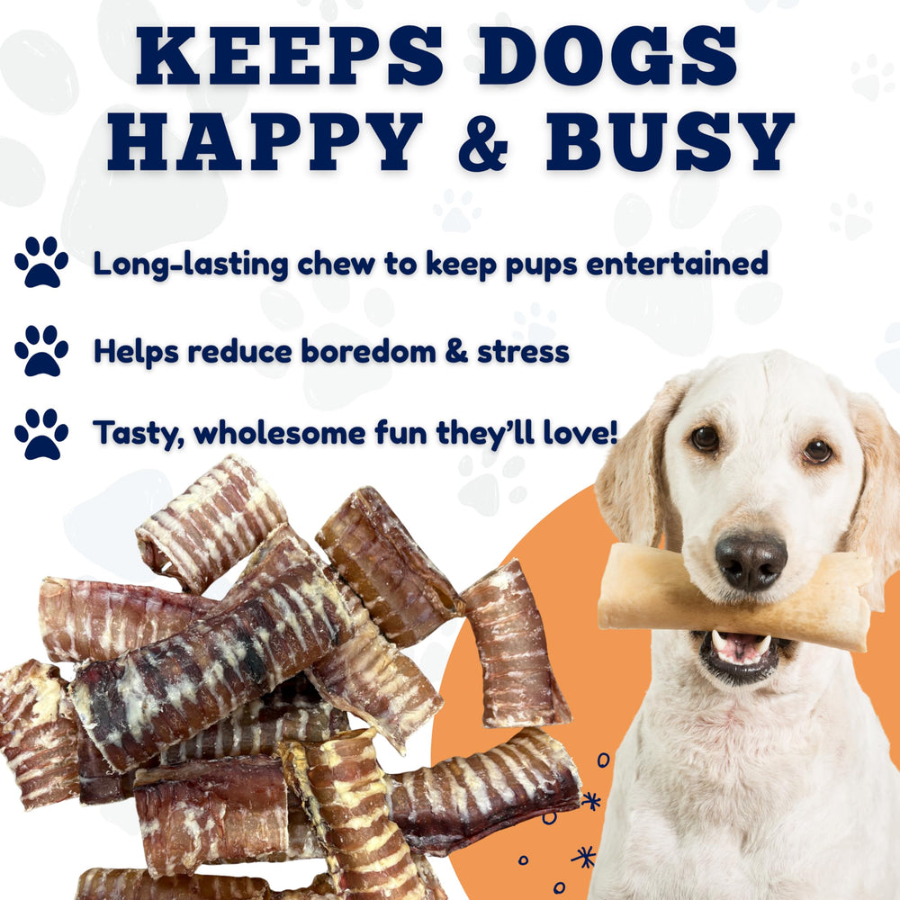 Amazing Dog Treats : anneaux-trachée-boeuf idéal pour récompenser et encourager le bon comportement.