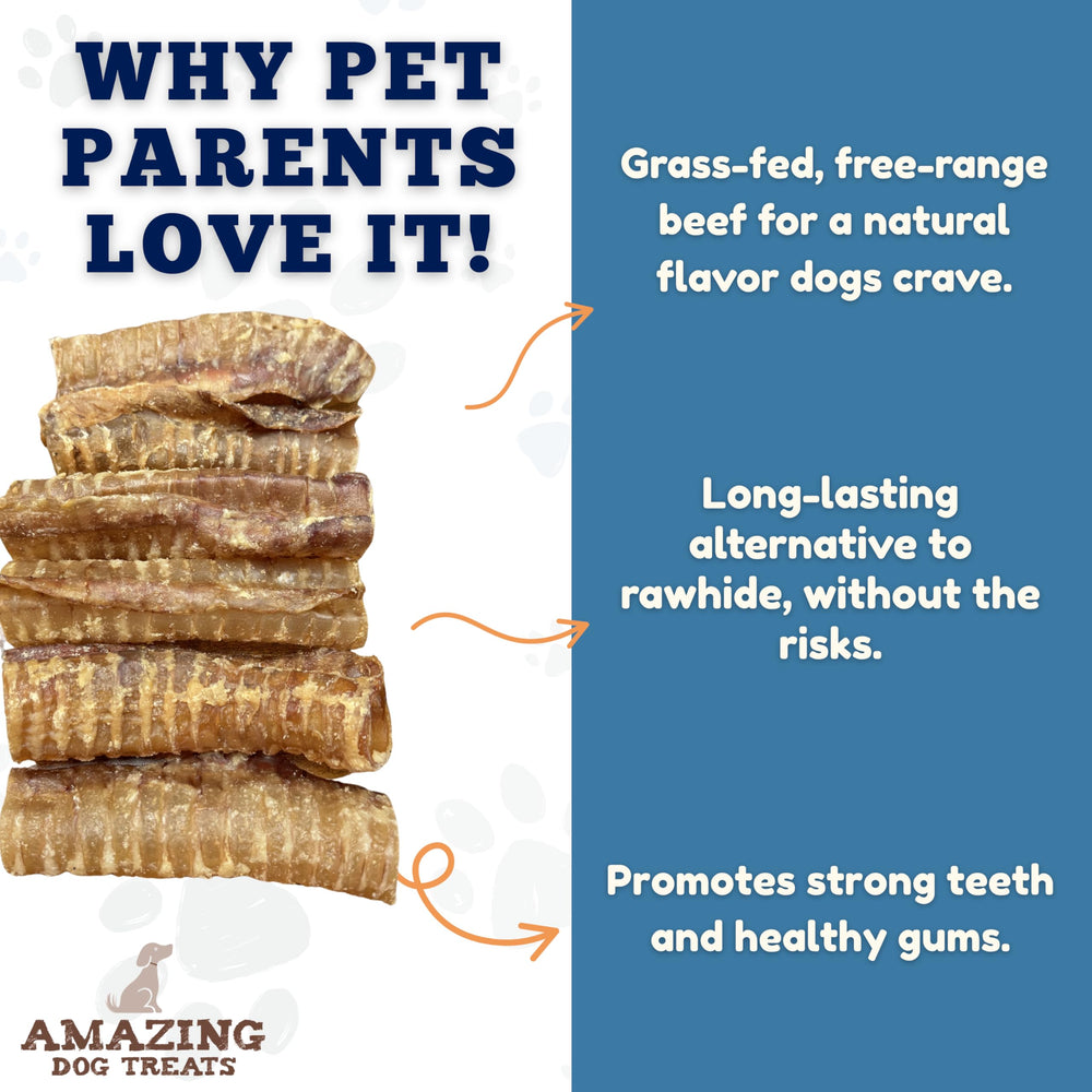 Emballage propre d'Amazing Dog Treats trachée de boeuf, sans additifs