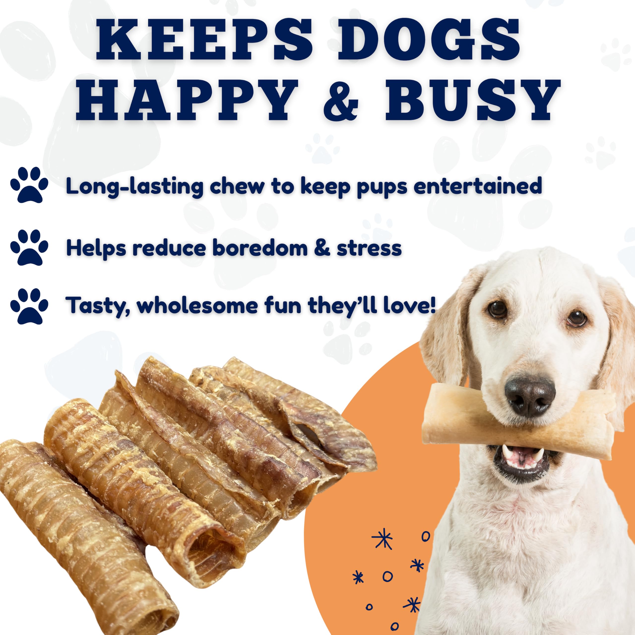 Glucosamine et chondroïtine présents dans Amazing Dog Treats pour articulations