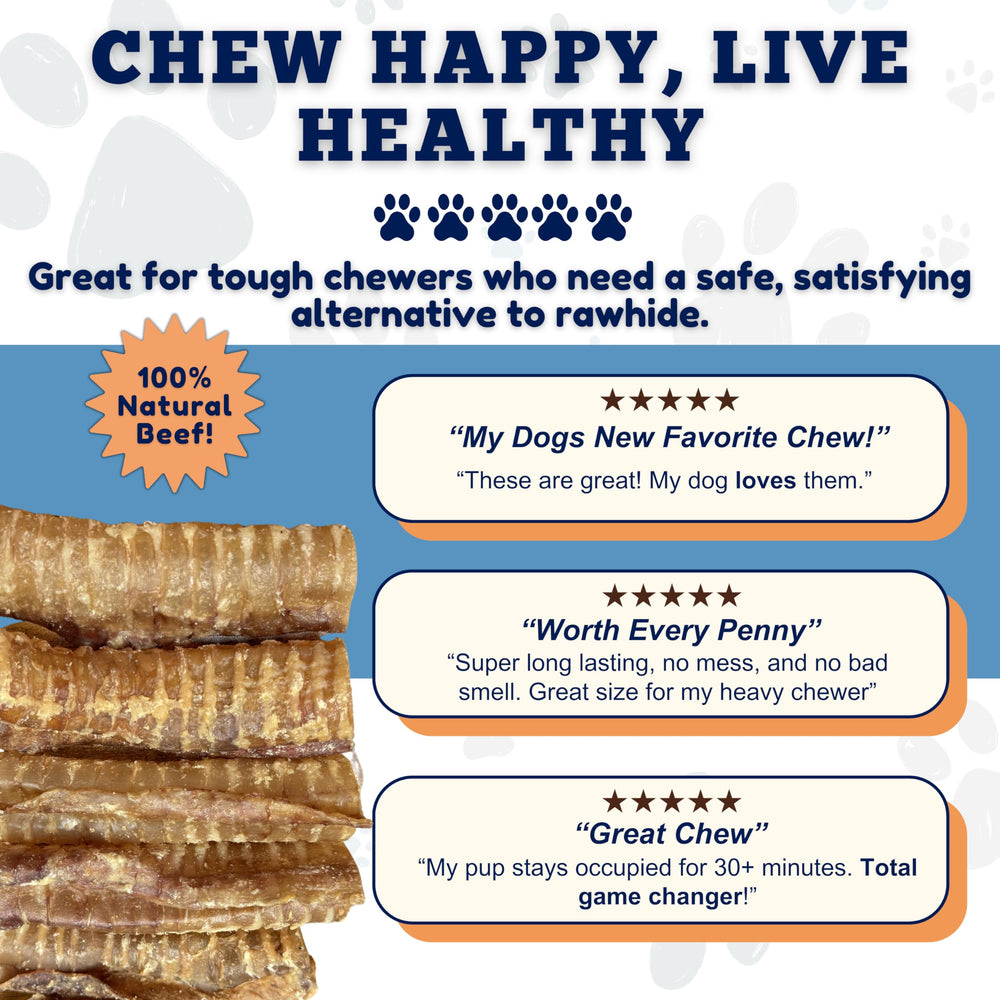 Friandise sans additifs chimiques, Amazing Dog Treats trachée de boeuf