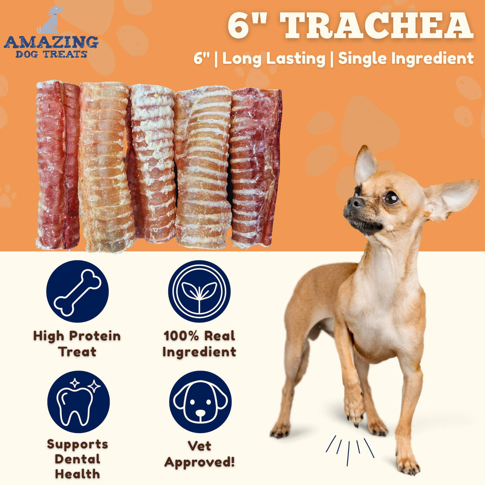 Trachée de boeuf Amazing Dog Treats avec texture naturelle