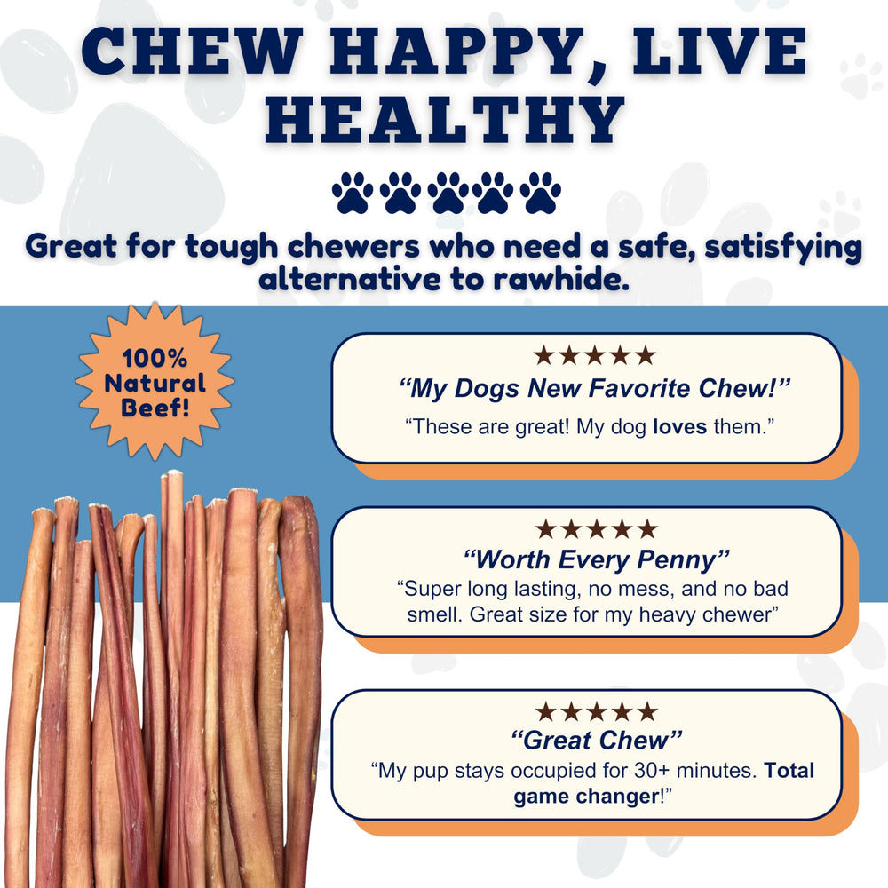 Utilisation quotidienne sécurisée pour chiens avec les sticks naturels Amazing Dog Treats.