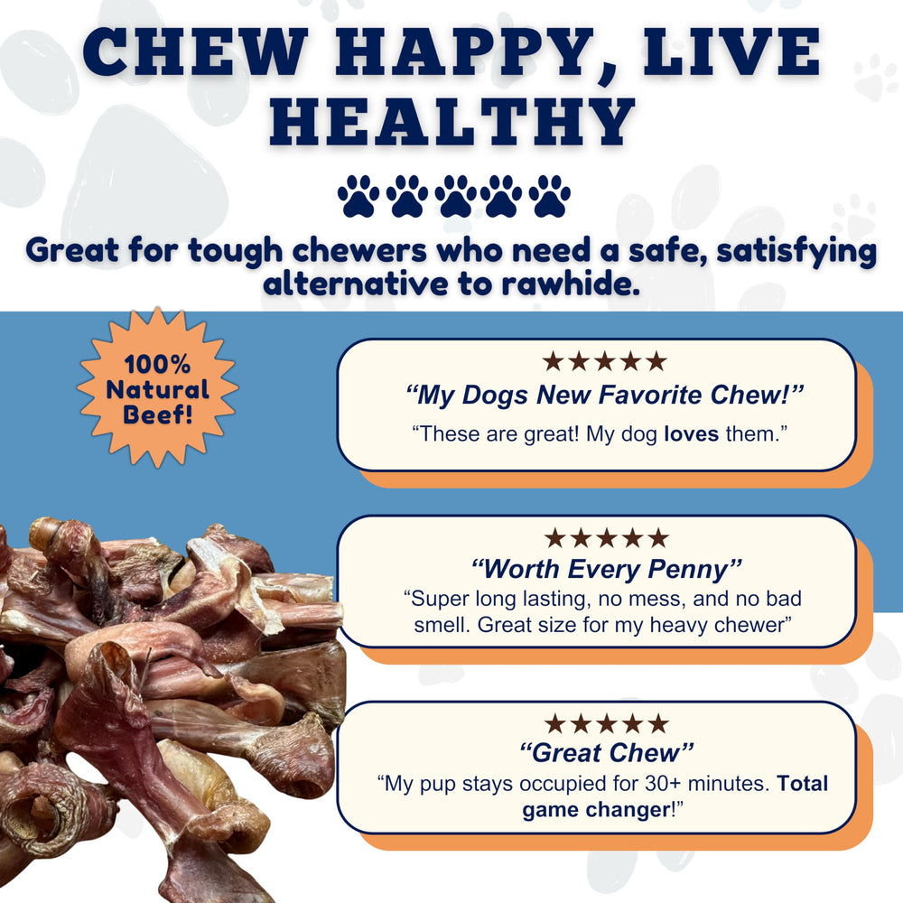 Amazing Dog Treats utilisation quotidienne: récompense polyvalente pour chiens de toutes tailles.