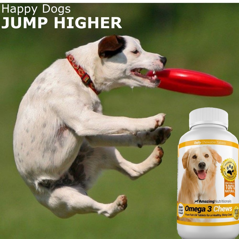 Amélioration de la mobilité des articulations chez les chiens âgés.