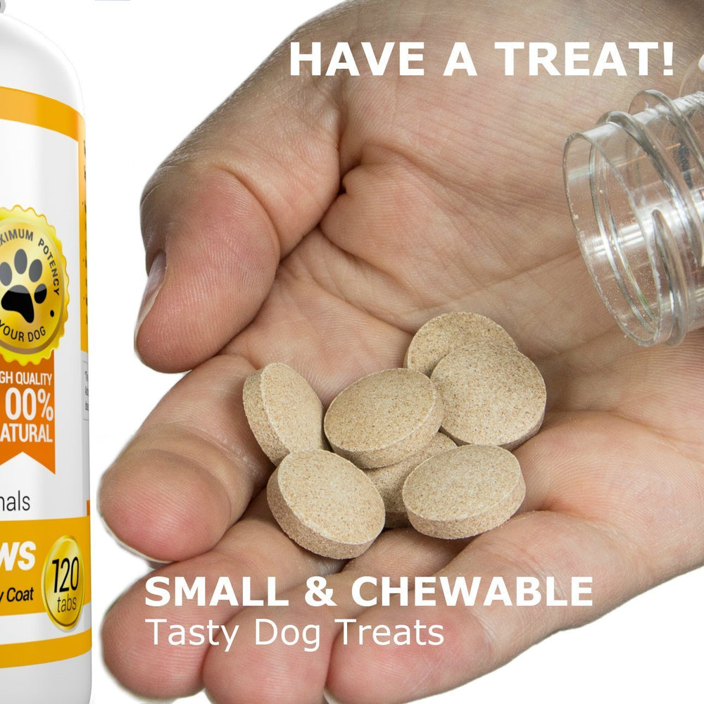 Soutien peau et démangeaisons, Amazing Omega 3 pour chien.