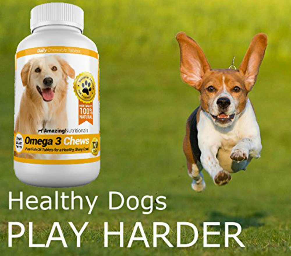 Amazing Omega 3 pour chien - sans odeur de poisson: consommation facile