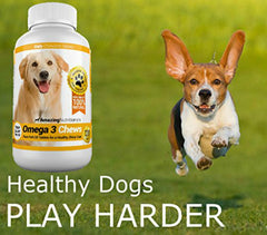 Amazing Omega 3 pour chien - sans odeur de poisson: consommation facile