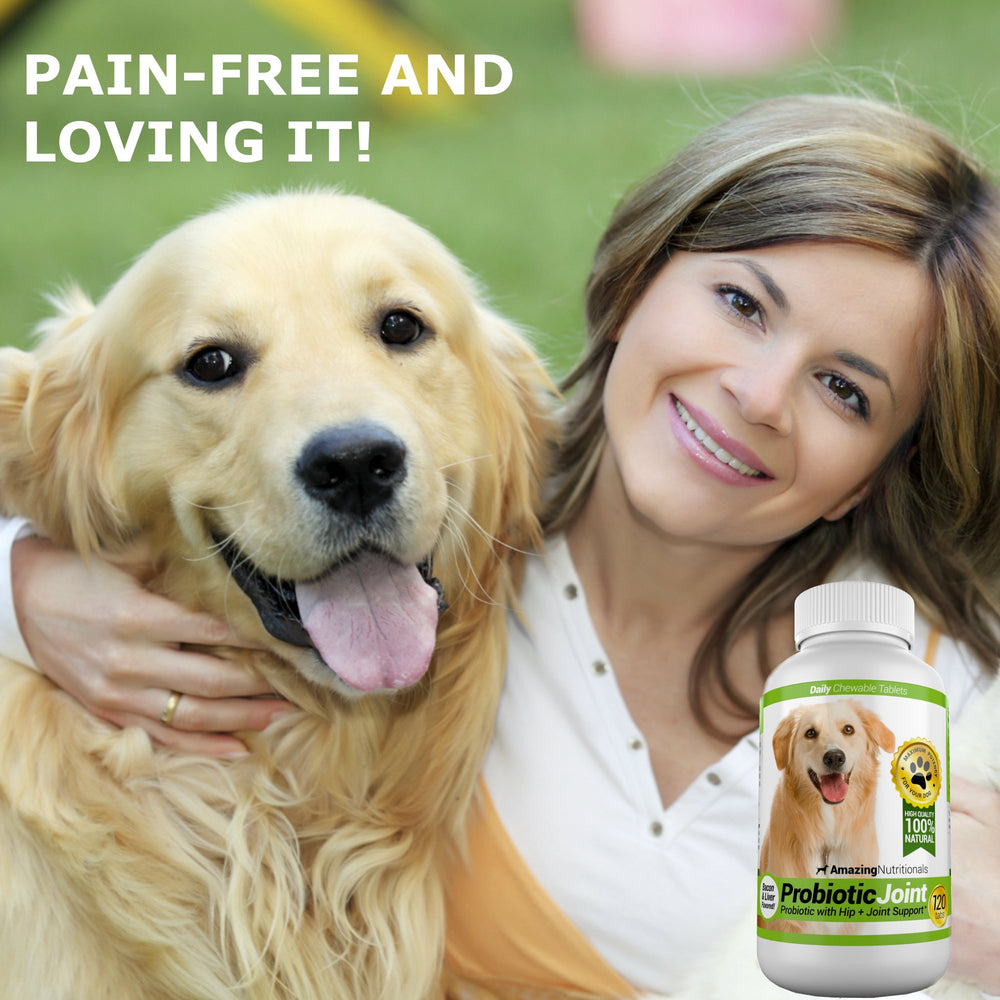 Amazing Nutritionals pour chien: probiotiques aidant la digestion avec bouchées faciles.
