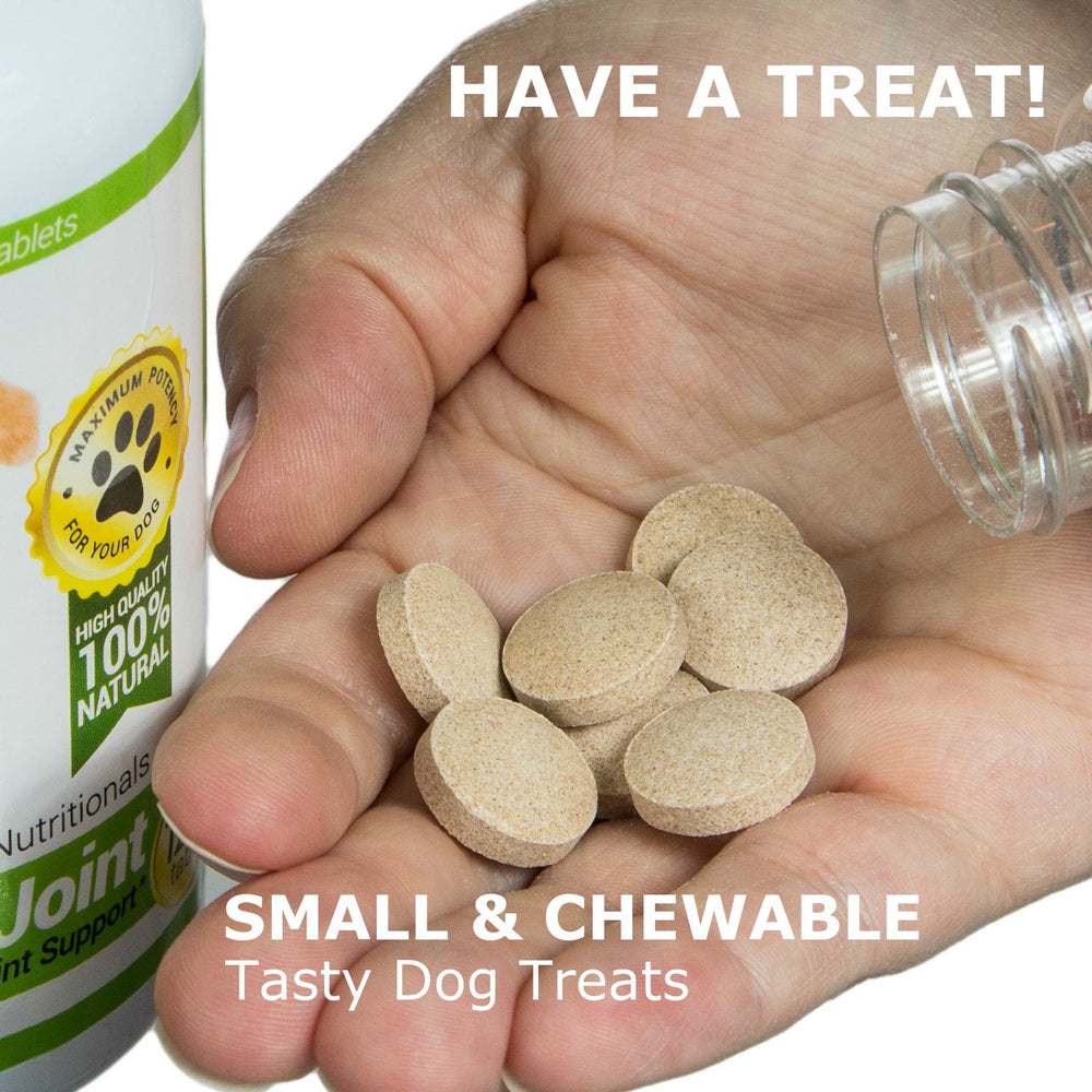 Amazing Nutritionals pour chien: soulagement des gaz et inconfort digestif.