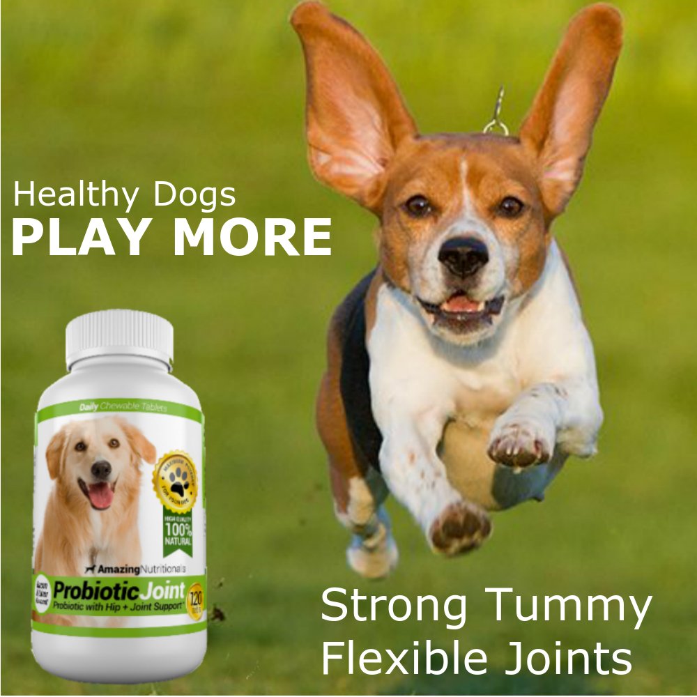 Amazing Nutritionals pour chien: soin peau et poil grâce aux probiotiques.