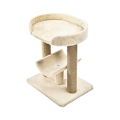 Capacité idéale pour 1 à 2 chats jusqu'à 25 lb avec Amazon Basics